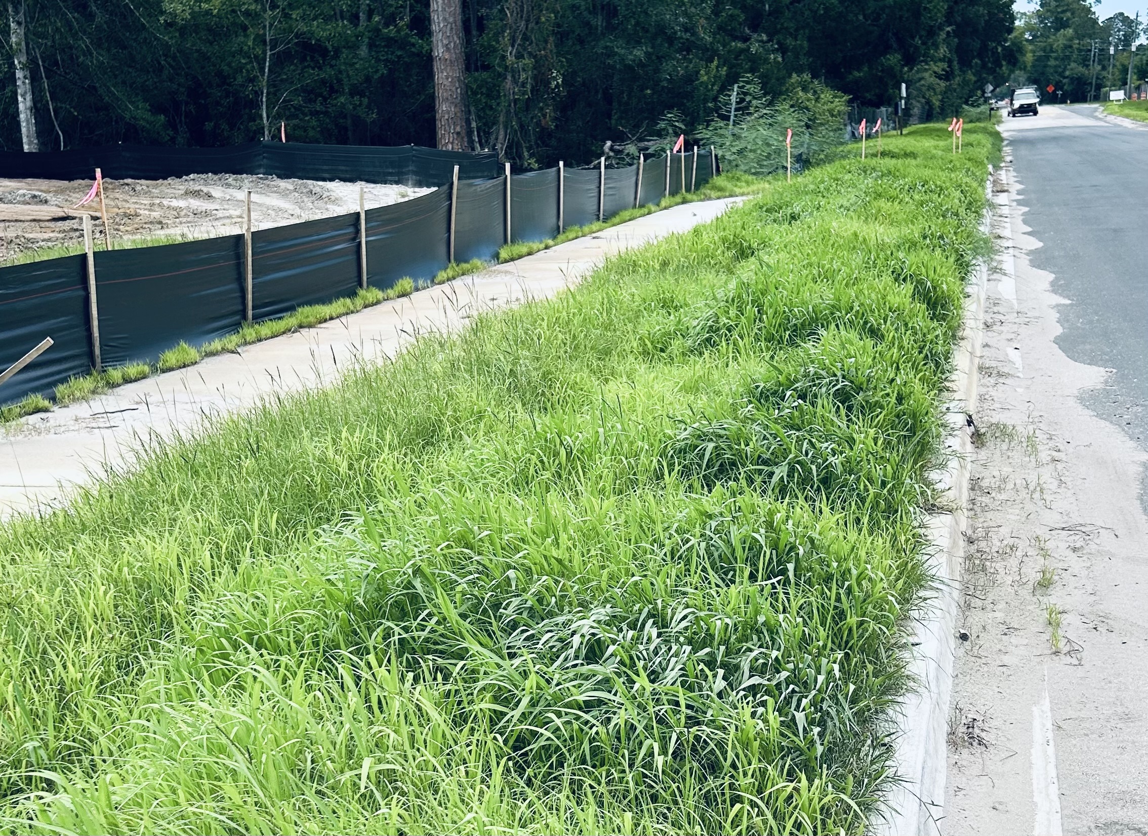Terra Seeding Project 4